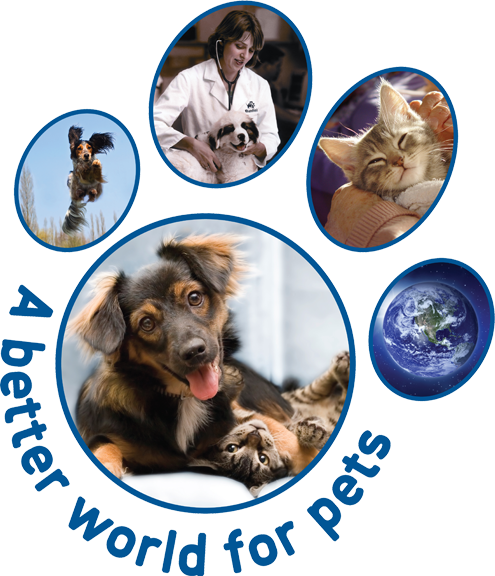 A Better World For Pets