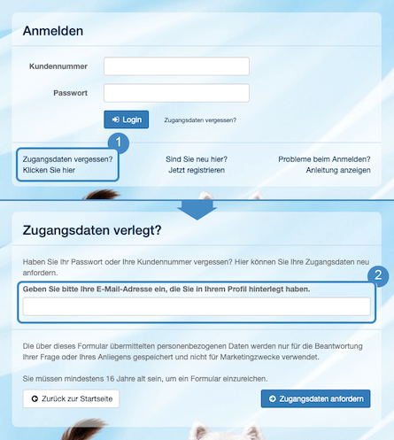 Was muss ich machen, wenn ich mein Passwort vergessen habe?